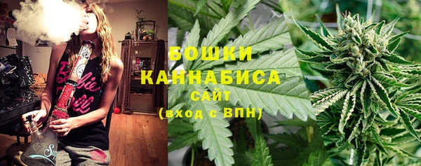 стаф Инсар