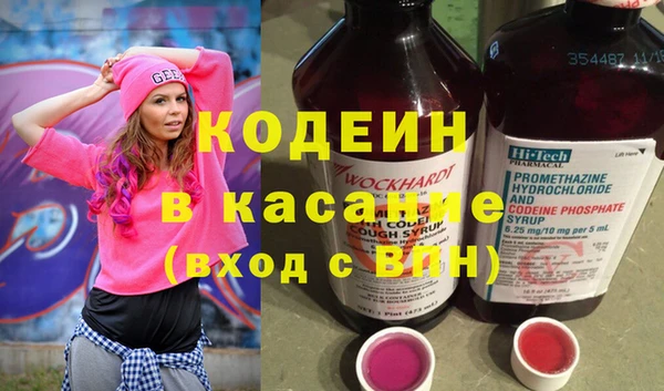 ешки Иннополис