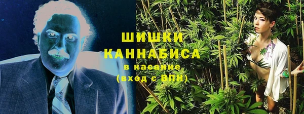 стаф Инсар
