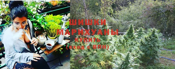 ешки Иннополис