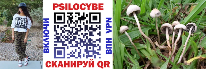Галлюциногенные грибы Psilocybe  Волгодонск 