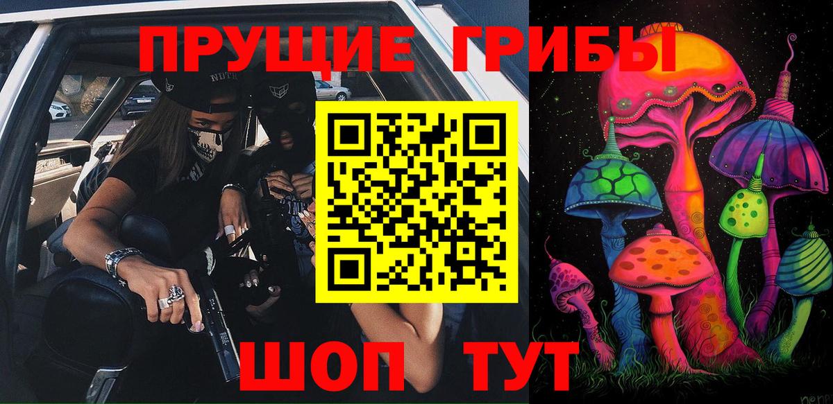 Волгодонск  Псилоцибиновые грибы ЛСД  где можно купить наркотик  Вход с VPN 