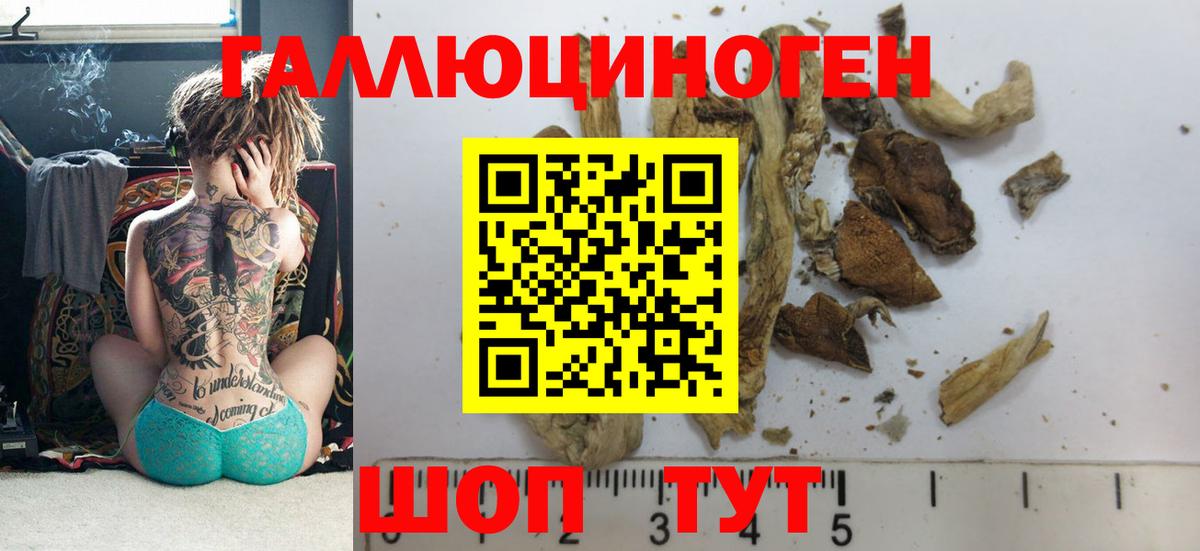 МЕФ Волгодонск