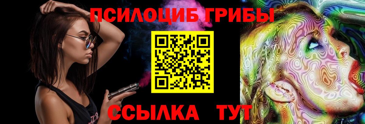 Галлюциногенные грибы прущие грибы  Волгодонск  Галлюциногенные грибы GOLDEN TEACHER 