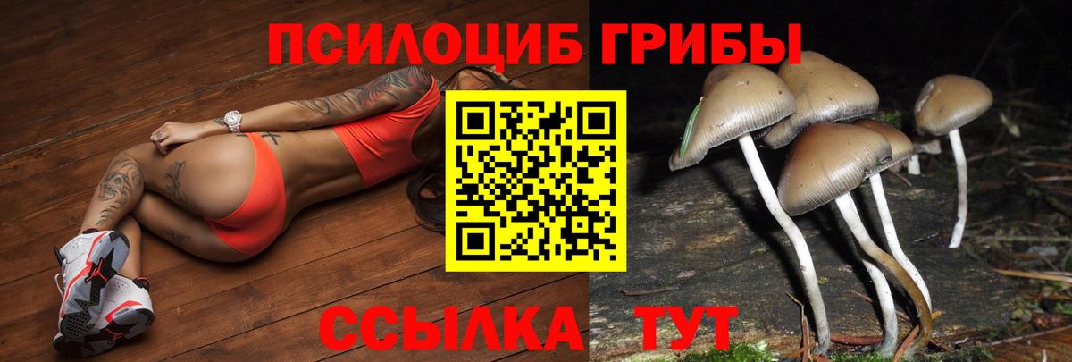 Галлюциногенные грибы Cubensis Волгодонск