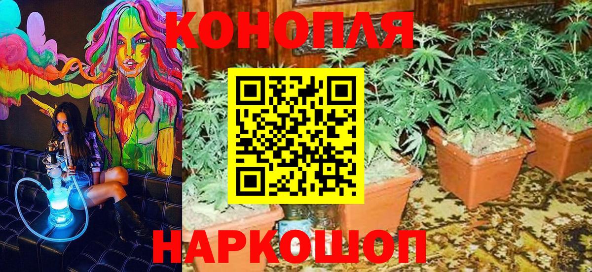 Шишки марихуана MAZAR  Канабис планчик  Вход с VPN  МАРИХУАНА Ganja  Волгодонск  Бошки марихуана индика 